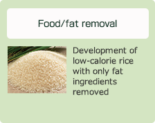 Food/fat removal: Development of low-calorie rice with only fat ingredients removed