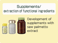Supplements/extraction of functional ingredients: Development of supplements with saw palmetto extract