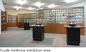 Crude medicine exhibition area