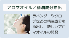 アロマオイル／精油成分抽出：ラベンダーやクローブなどの精油成分を抽出し、新しいアロマオイルの開発