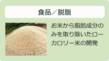 食品／脱脂：お米から脂肪成分のみを取り除いたローカロリー米の開発